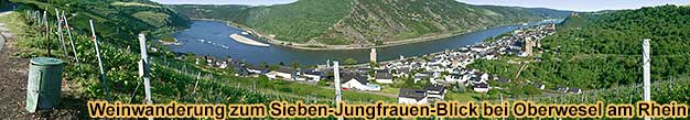 Aussicht vom Sieben-Jungfrauen-Blick auf Oberwesel am RHein